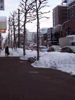 札幌の雪は