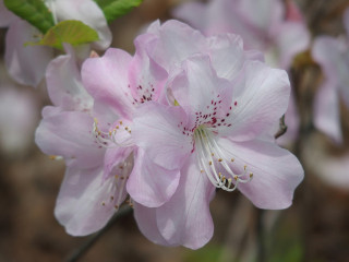 センスを磨かなければ