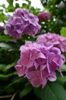 お昼からどうにか