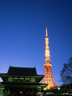 東福岡負けちゃった…