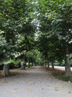 過ごしやすい季節