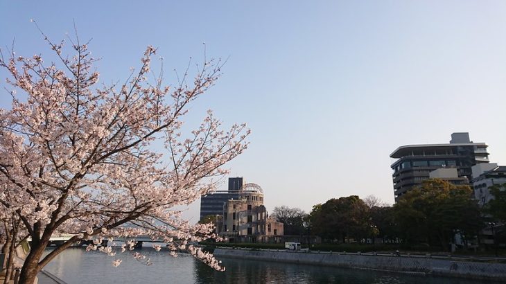 3月29日　桜は満開