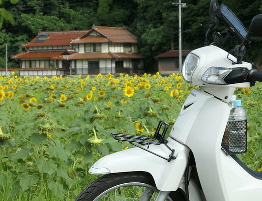 スーパーカブでひまわりとかオートバイ神社とか(2018/07/21)
