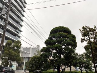 10月25日　大雨