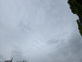 5月13日　雨