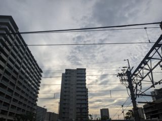 7月9日　曇り