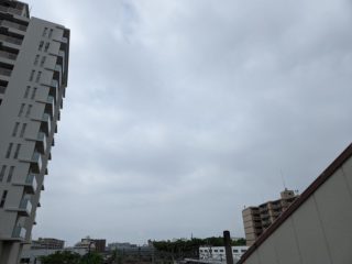 7月14日　曇り