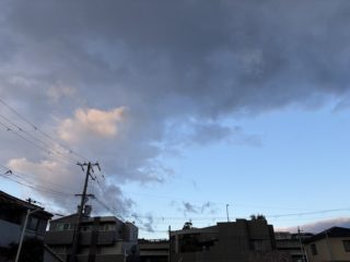3月17日