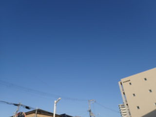 11月28日