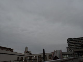 2月26日　暖かい