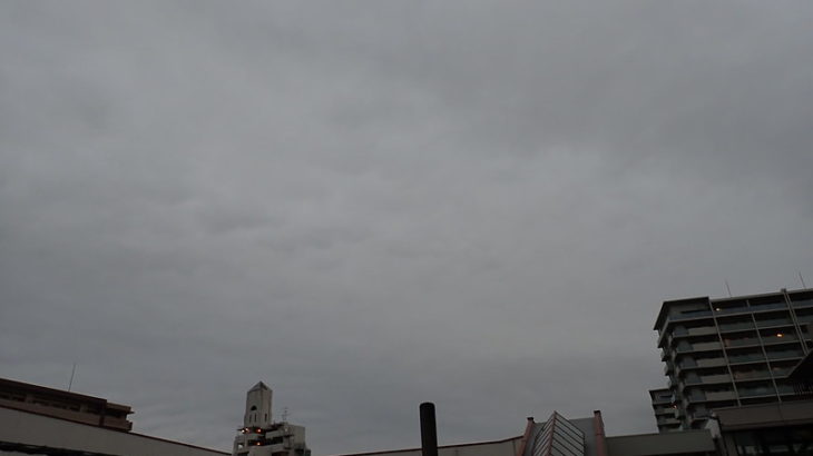 2月27日　暖かい