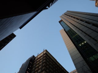 3月16日 花粉が多いっぽい